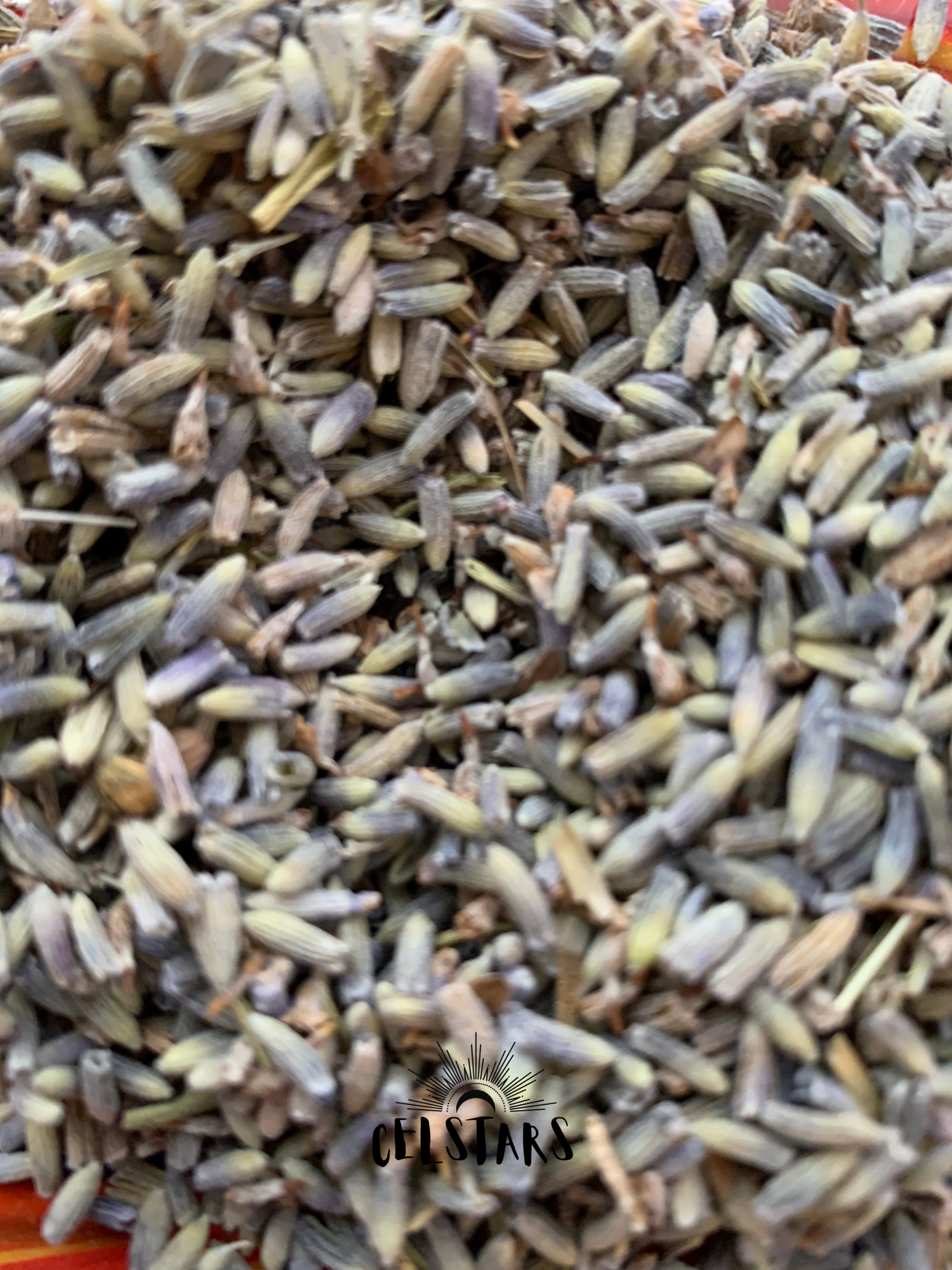 French Lavender Buds Herbs 1/2 oz 14 grams