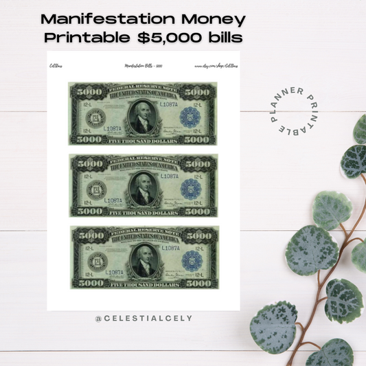 Manifestation Money - $5000 Bills