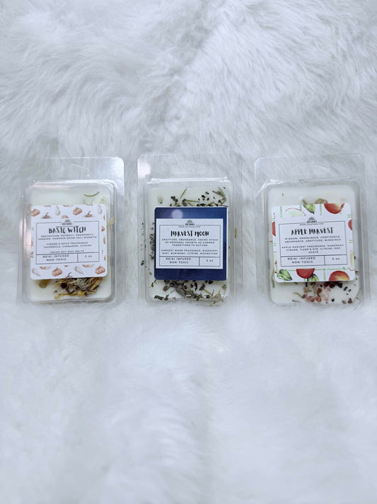 Fall Scented Wax Melts Witchy Wax Melts with Intention Autumn Wax Melts