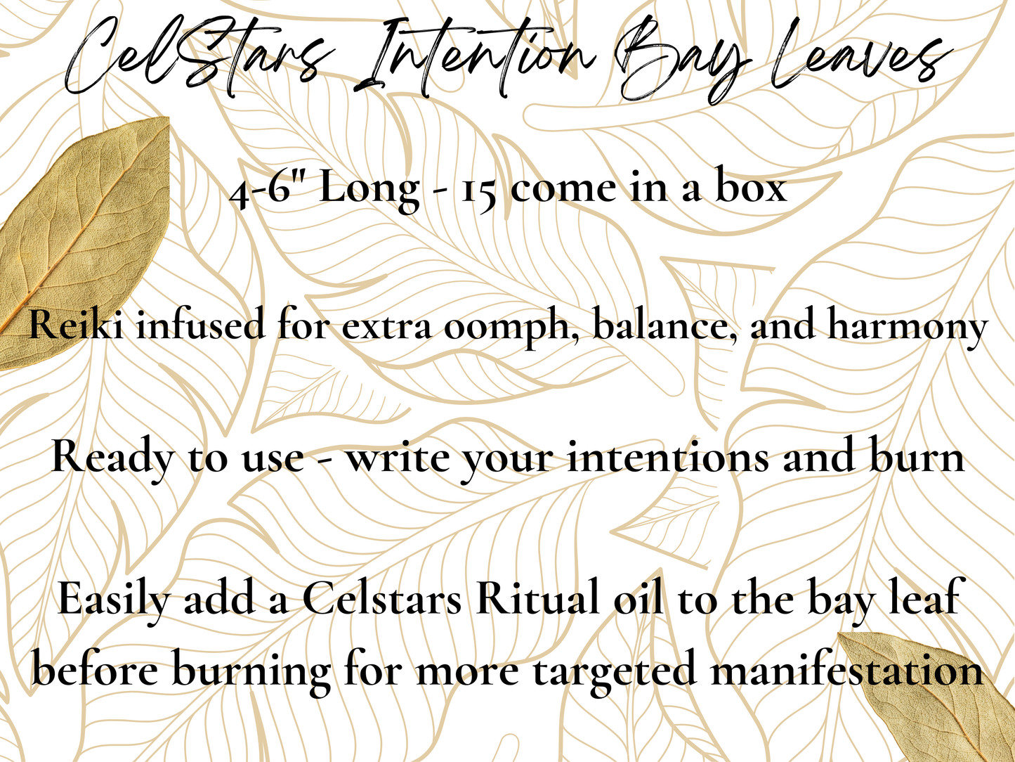Intention bay leaves - for Spells and Wishes - Reiki Infused - 15 Large Bay Leaves - Spell Herbs