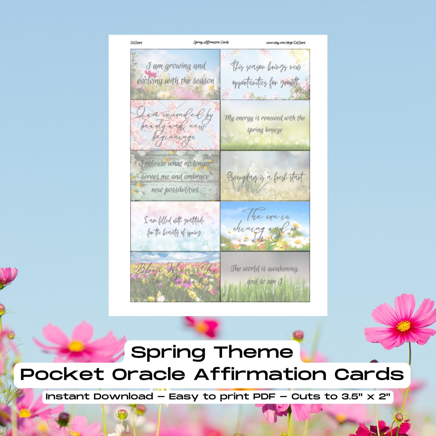 Spring Pocket Oracle