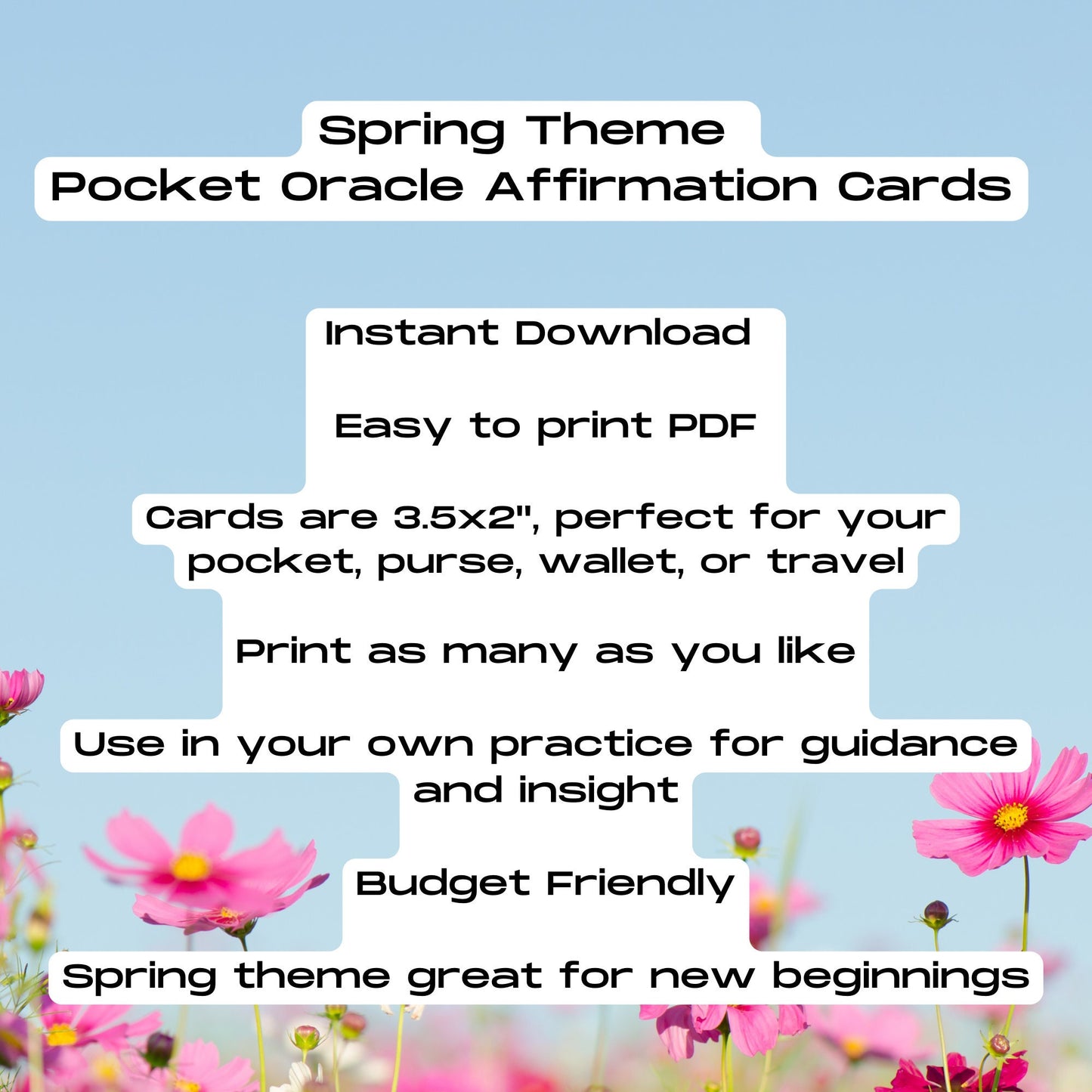 Spring Pocket Oracle